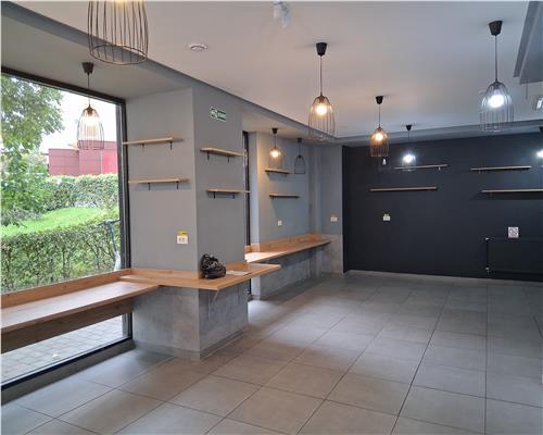 Poziție premium la strada principala: spatiu 100 mp de inchiriat, Aleea Tudor Neculai (Nicolina - CUG)