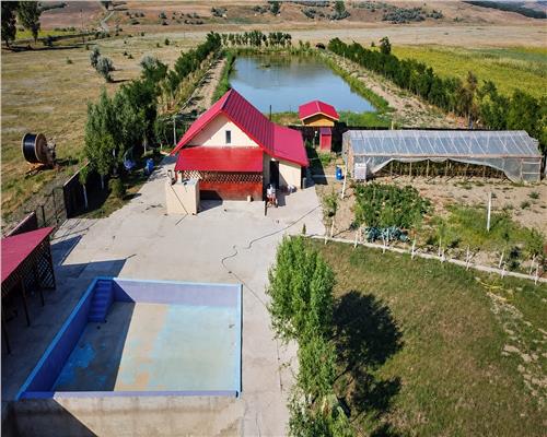 Proprietate deosebita de vanzare | Casa, 13.200 mp teren, doua iazuri cu peste | Raducaneni, Iasi